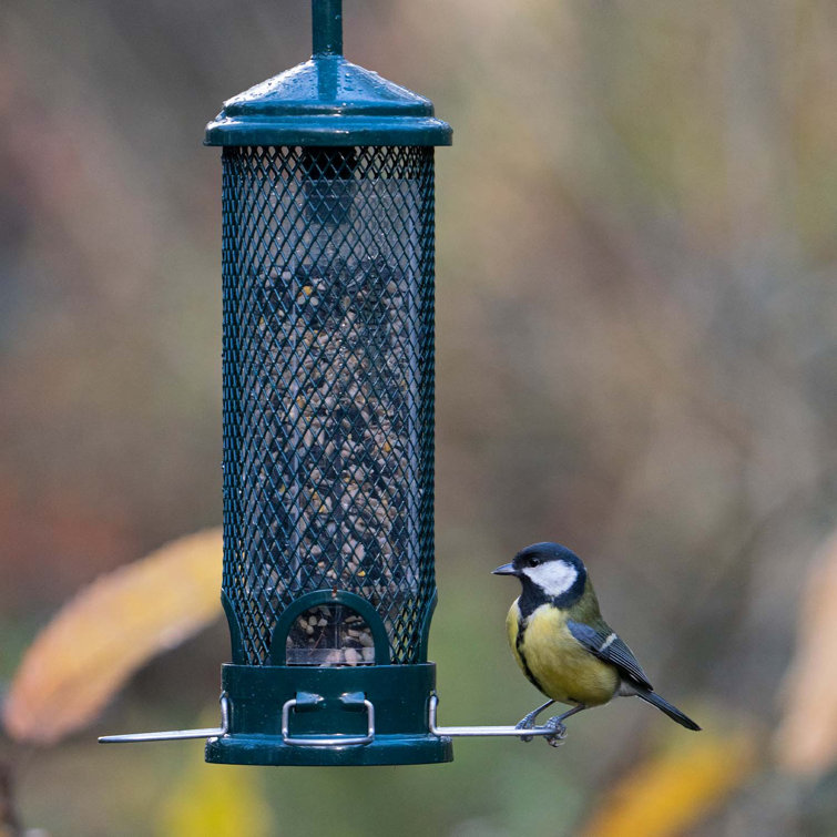 Jacobi Jayne Squirrel Buster Mini Squirrelproof Bird Feeder